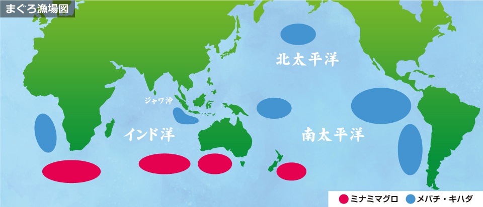 まぐろ漁場図